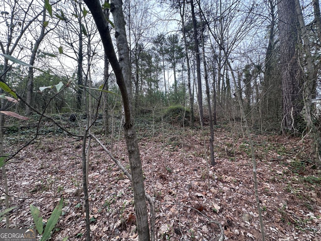 Photo of 411 Gayle Drive SE, Acworth, GA 30102 (MLS # 10757861)