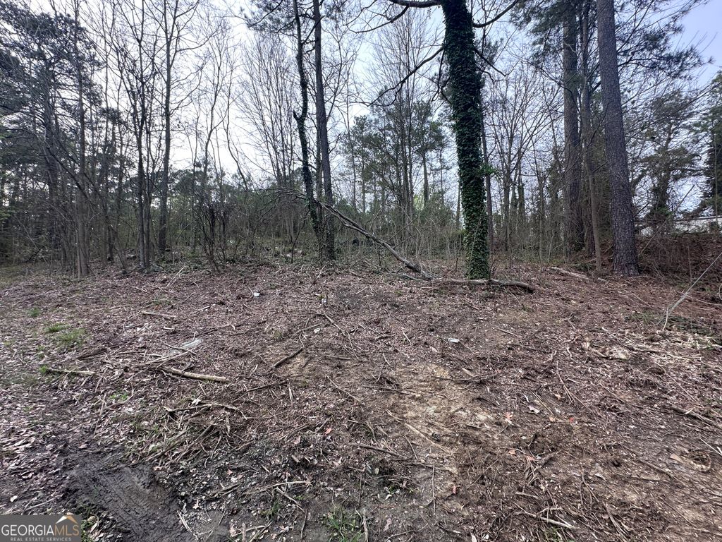 Photo of 411 Gayle Drive SE, Acworth, GA 30102 (MLS # 10757861)