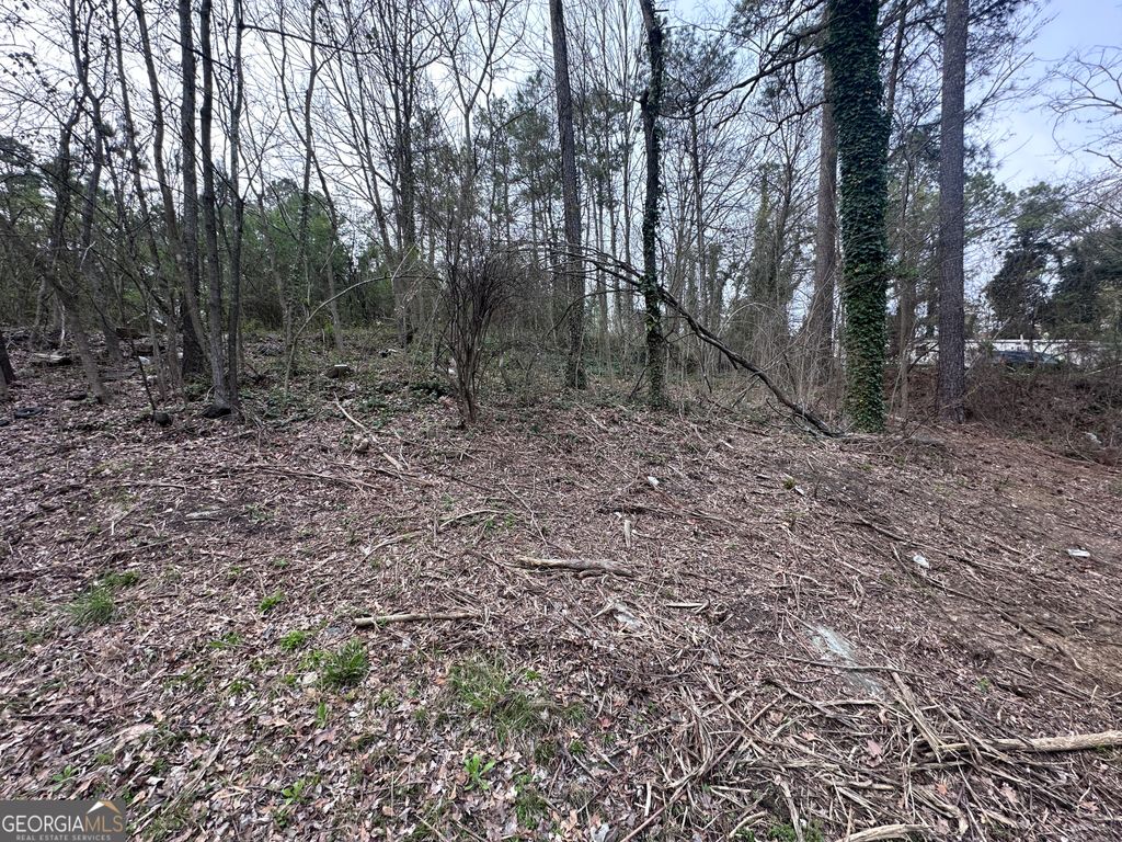 Photo of 411 Gayle Drive SE, Acworth, GA 30102 (MLS # 10757861)