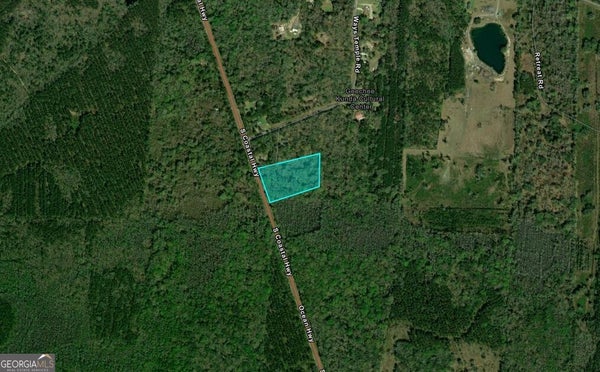 5.8 ACRES S COASTAL HIGHWAY, RICEBORO, GA 31323 - Image ee57890511a125c141b09ff103a656d1/798355533