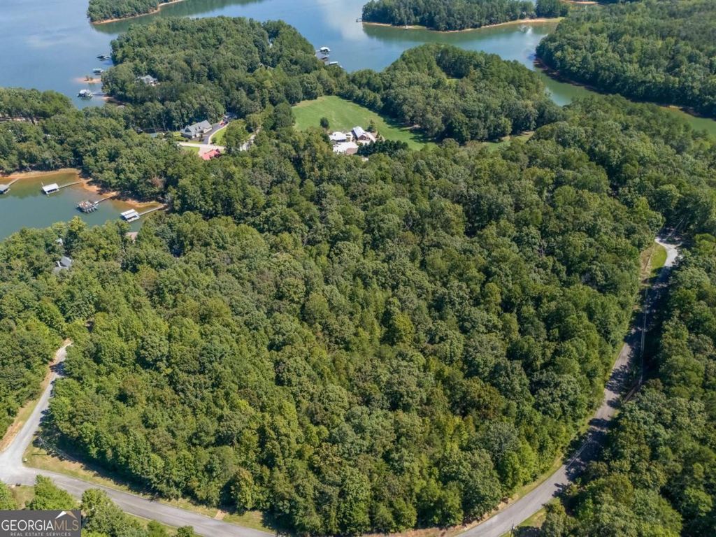 Photo of 12 Twin Knolls Trail, Martin, GA 30557 (MLS # 10700353)