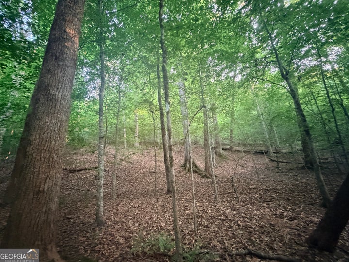 Photo 1 of 45 — 6 bunch RD, Tignall, GA 30668