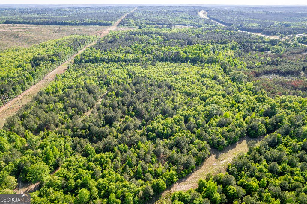 Photo of 21701 Highway 441, McIntyre, GA 31054 (MLS # 10766048)