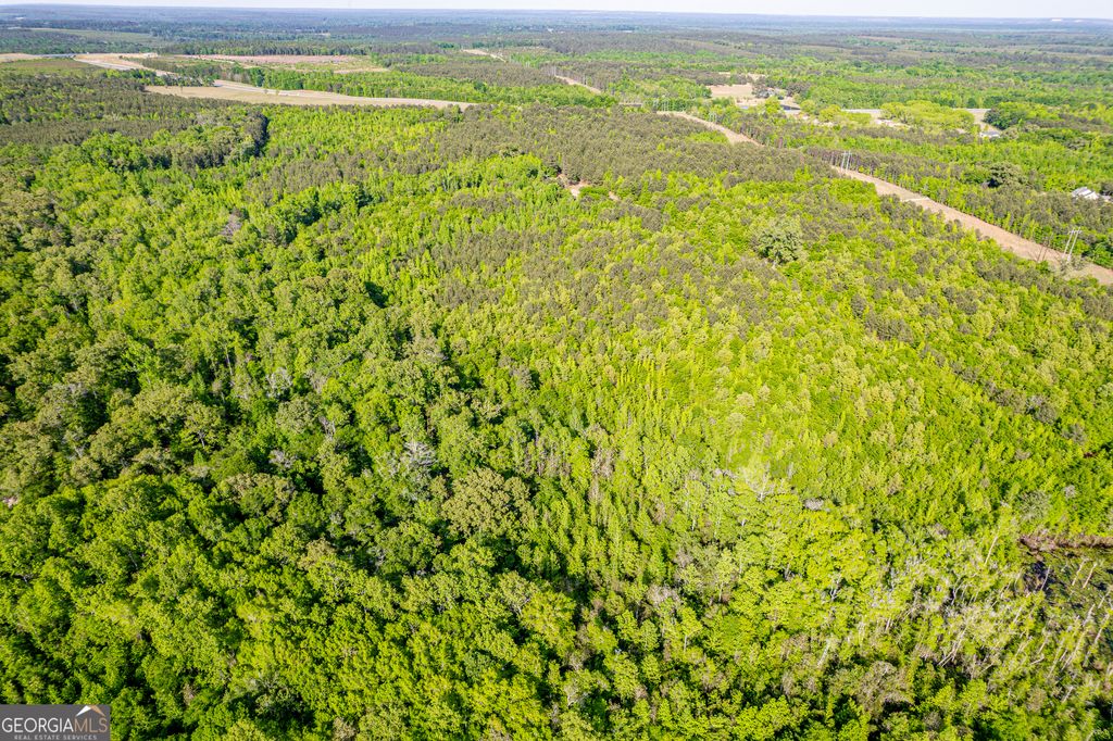 Photo of 21701 Highway 441, McIntyre, GA 31054 (MLS # 10766048)
