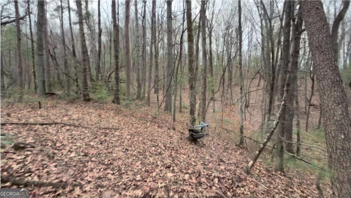 17.29 AC Pleasant Oak TRL 5 PART OF