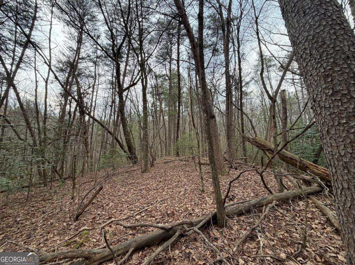 17.29 AC Pleasant Oak TRL 5 PART OF