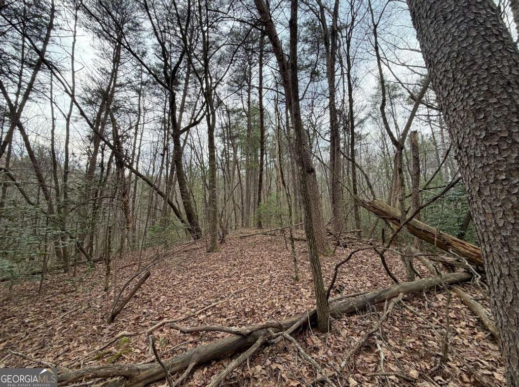 Photo of 1729 Pleasant Oak Trail #5 PART OF, Ellijay, GA 30540 (MLS # 10711386)