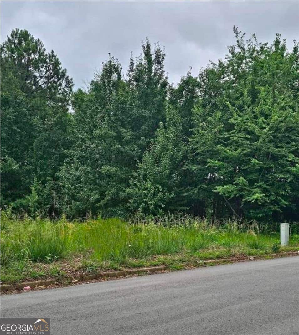 Photo of 1546 Austin Drive, Decatur, GA 30032 (MLS # 10834546)