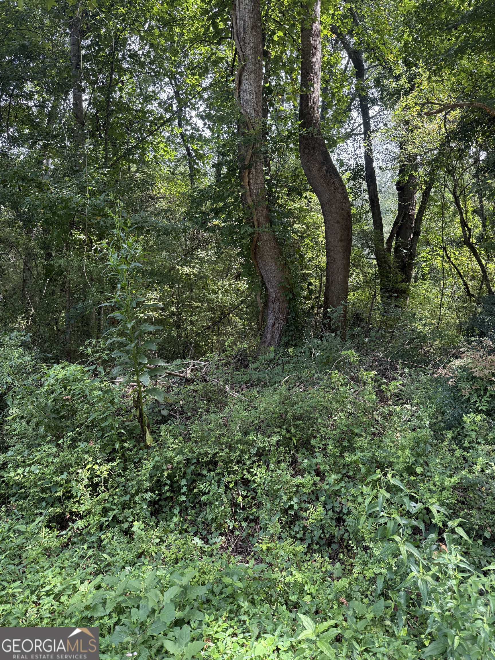 Cul-de-sac lot ready for you to build. Parcel #047C010047 is also available to purchase with this lot. They are location next to each other.