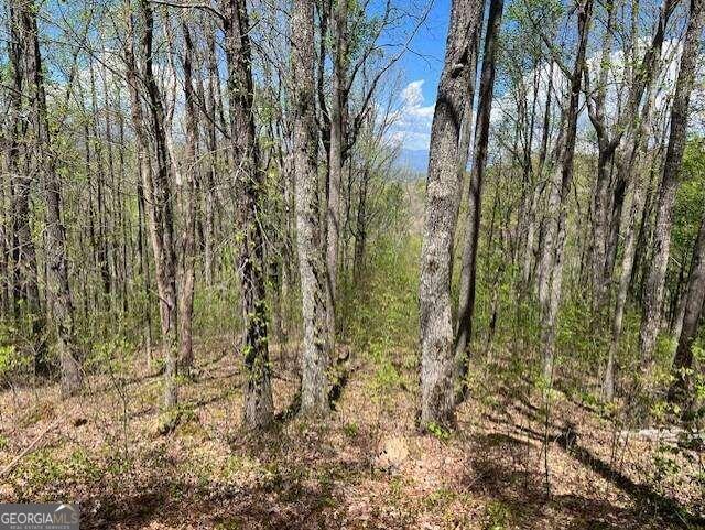 Beautiful view building lot! Here is your opportunity to obtain one of the best lots in a great neighborhood! Several new homes built recently and more starting soon. Amazing mountain views overlooking Brasstown Valley Resort in Young Harris! This beautiful, gated community is tucked away near USFS property, so you would never know that you are close to town! Conveniently located near Lake Chatuge, Georgia Mountain Fairgrounds, Brasstown Bald, many golf courses and wineries! The neighborhood provides common area parks with fire pit and pavillion. There is access to walking trails and cascading waterfalls. You can even hike from Rocky Knob to Brasstown Bald (highest point in Ga. at 4,787 ft. elevation! This lot has a wonderful, level area just waiting for your mountain home in paradise!