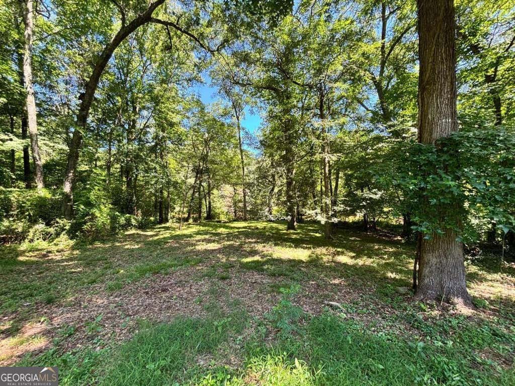 Photo of 100 Saxon Woods Drive, Athens, GA 30607 (MLS # 10816407)