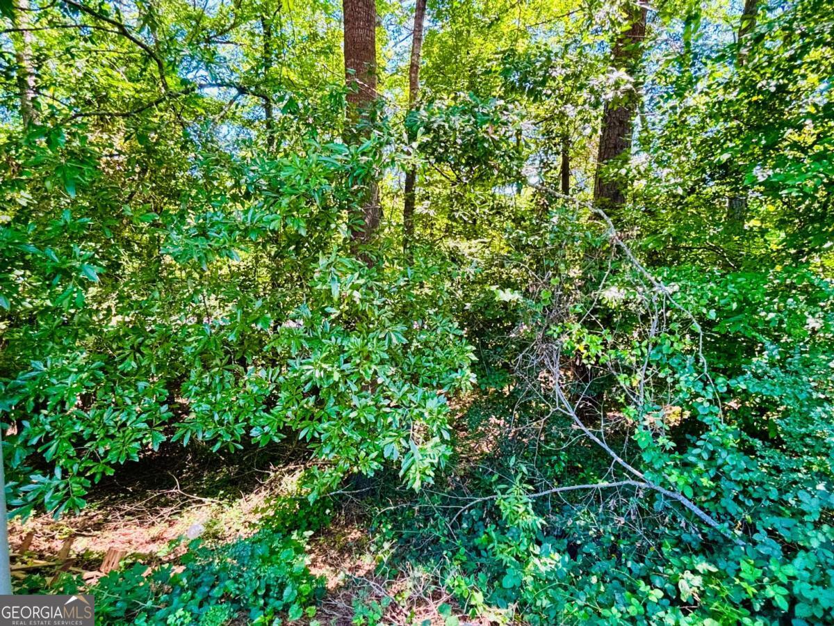 100 Saxon Woods DR