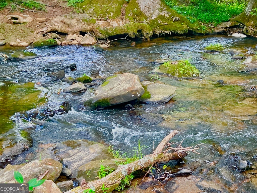 Photo of 193 Opossum Road, Blairsville, GA 30512 (MLS # 10812605)