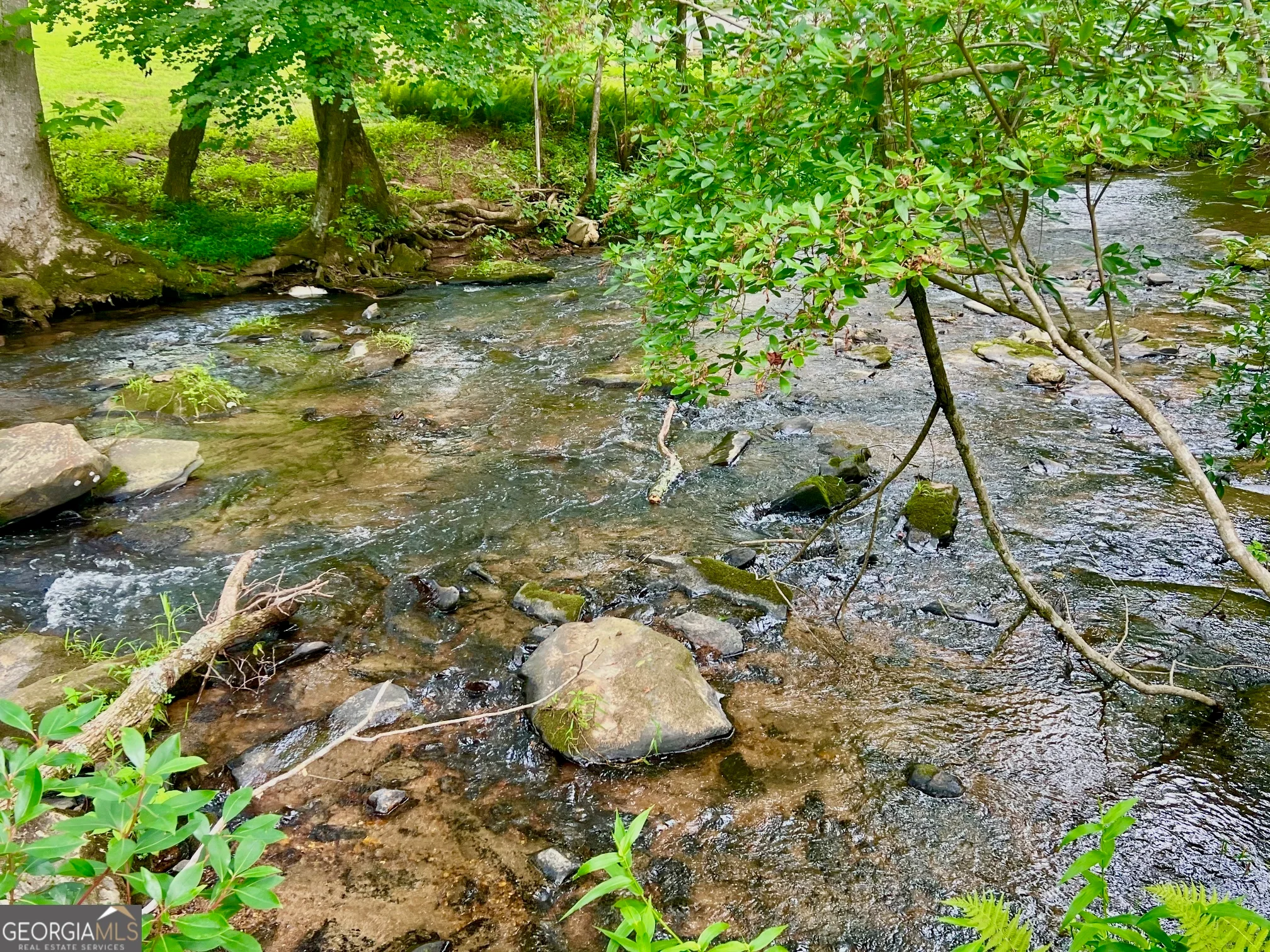 193 Opossum Road