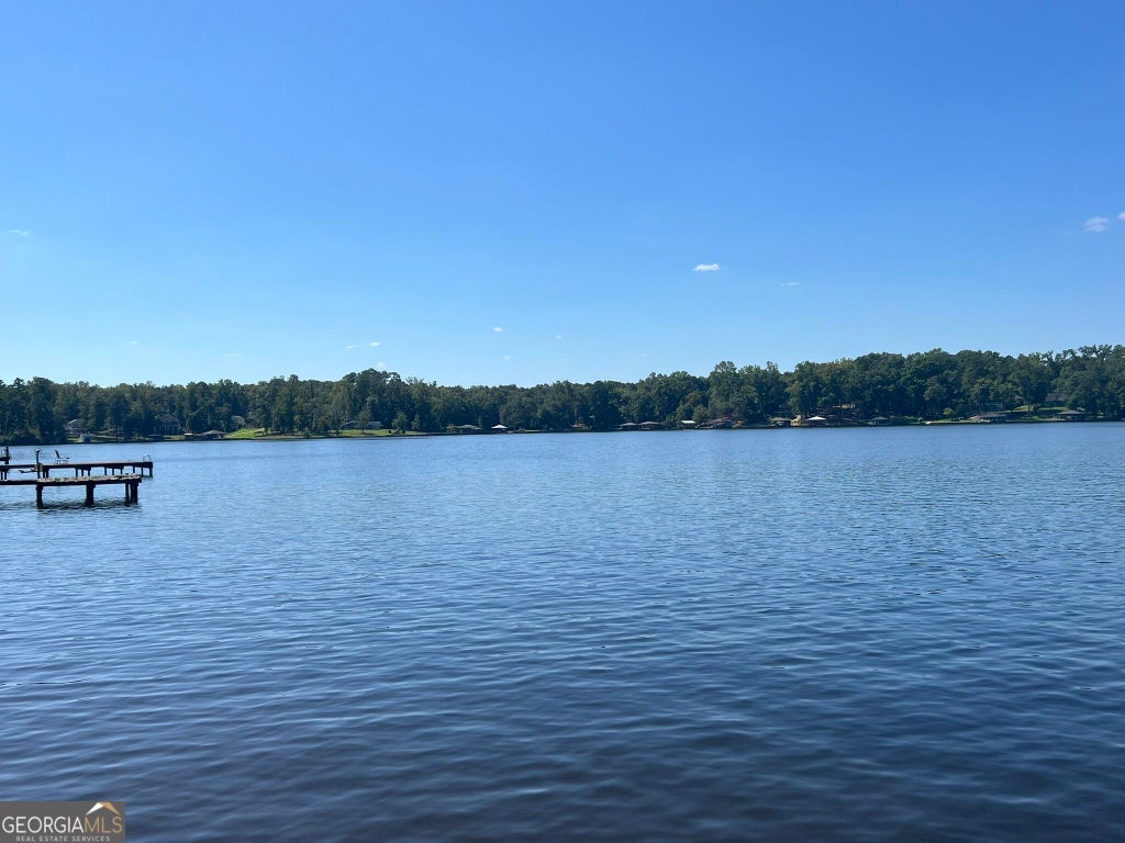 Photo of 173 South shore Drive, Eatonton, GA 31024 (MLS # 10850756)
