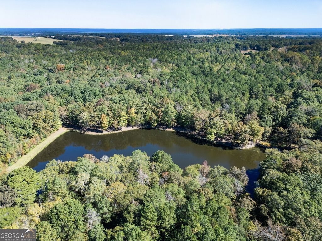 Photo of 0 Ga Highway 142 #A-1 (N-1), Shady Dale, GA 31085 (MLS # 10753527)