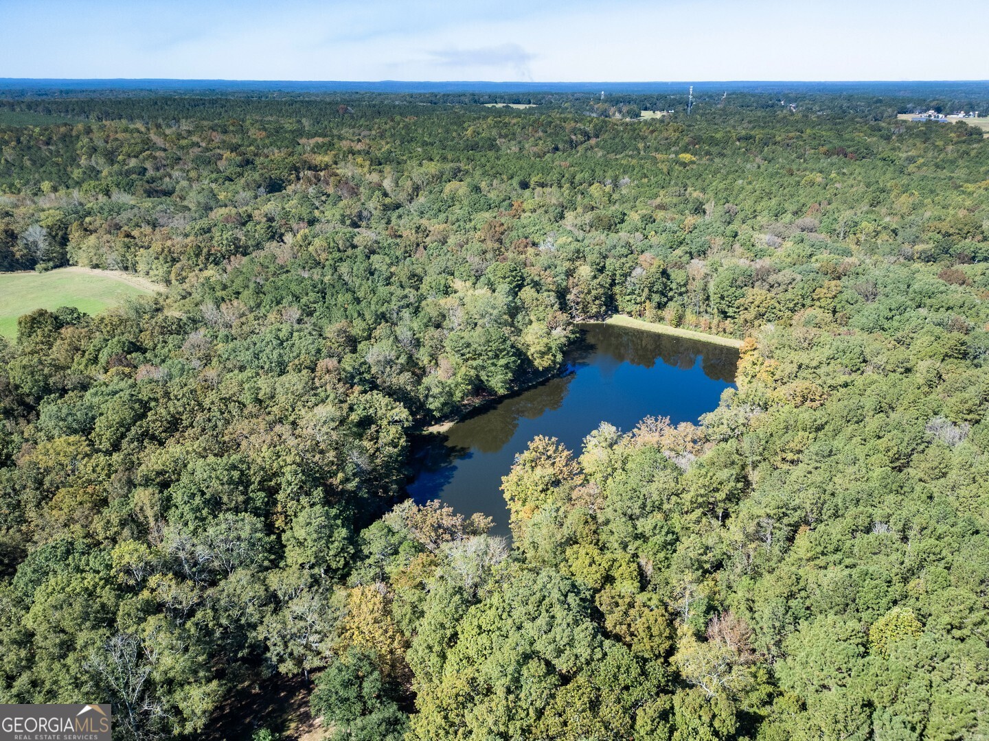 0 Ga Highway 142 A-1 (N-1)