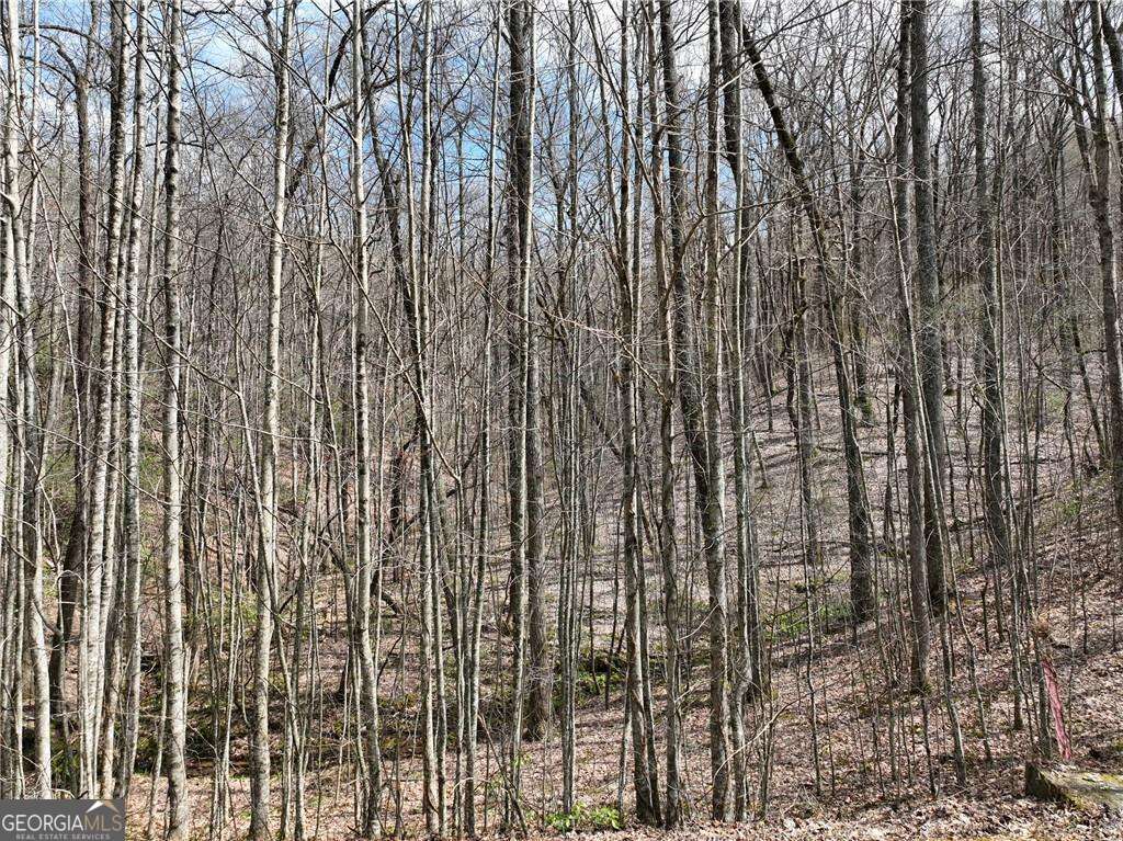 3 Acre Mountain Lot with small Spring fed mountain STREAM. You'll see a flowing spring just a few feet off the road that is easily to navigate around. This upsloping lot with rolling to sloping terrain can offer a very navigable driveway up to a large flatter area towards the top of the lot. The parcel is narrow at the front but greatly widens in the back. Check out the topography map to see the nice gentle building spot where it starts to widen! Perfect for a very private and serene mountain home surrounded by woodlands. Seasonal close mountain views. Adjacent lots/acreage on both sides are available for even more privacy and elbow room. Okay to buy now and build later. Electric, phone, cable, and high speed internet at road. Check out the topo map in photos. Close to orchards, wineries, and hiking. Approx 20-25 minutes to Jasper or Ellijay. Gated, HOA, 2000 min, no rentals, all buyers must be with an agent per HOA. Terrain parcel line photos are an approximation only.