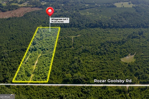 Photo of 1 Rozar Goolsby Road, Eastman, GA 31023 (MLS # 10800554)