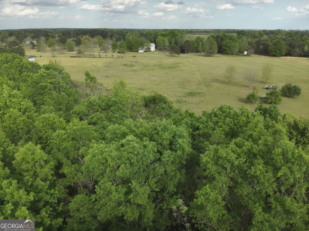Photo of 224 Scott Road, Elko, GA 31025 (MLS # 10856039)