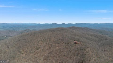 881 Fox Mountain RD Cherry Log GA 30522