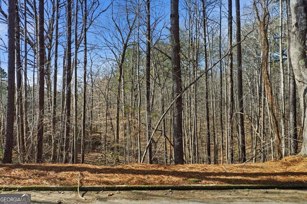 Photo of 0 Sixes Road, Canton, GA 30114 (MLS # 10784932)