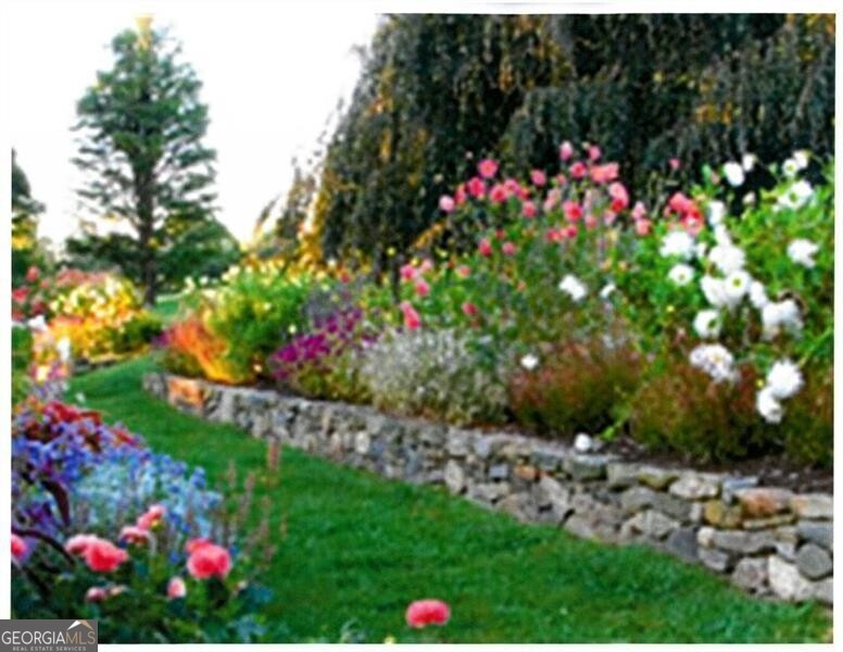 Buckhead - Residential