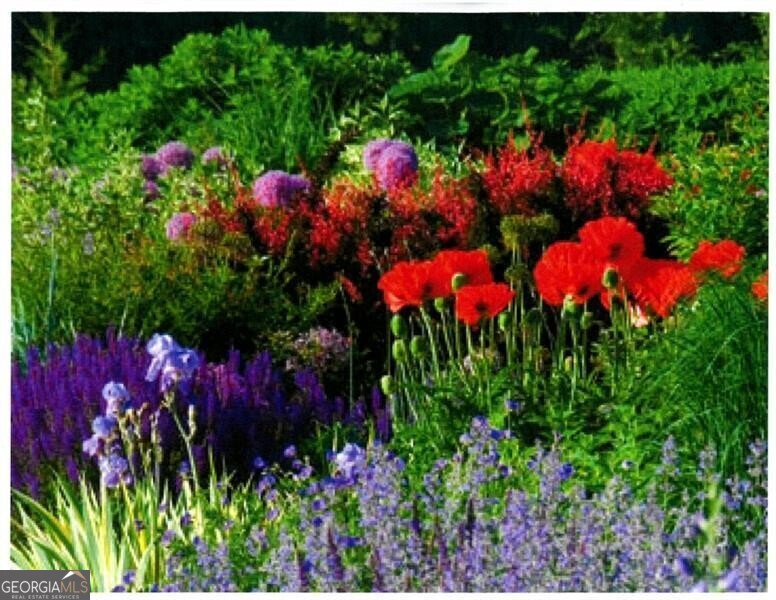 Buckhead - Residential