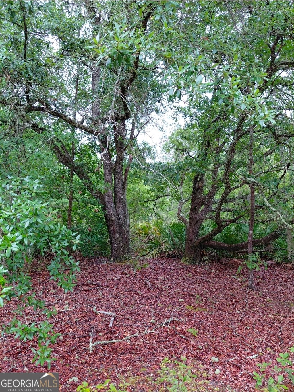 Photo of 779 Ralph Davis Road, Folkston, GA 31537 (MLS # 10756137)
