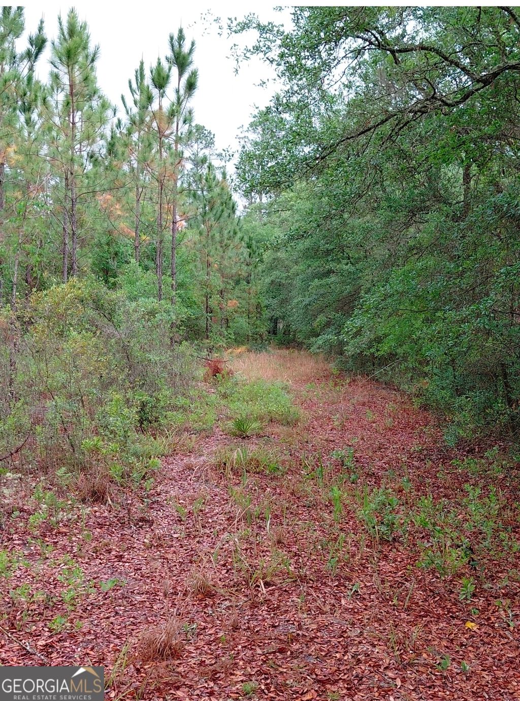 Photo of 779 Ralph Davis Road, Folkston, GA 31537 (MLS # 10756137)