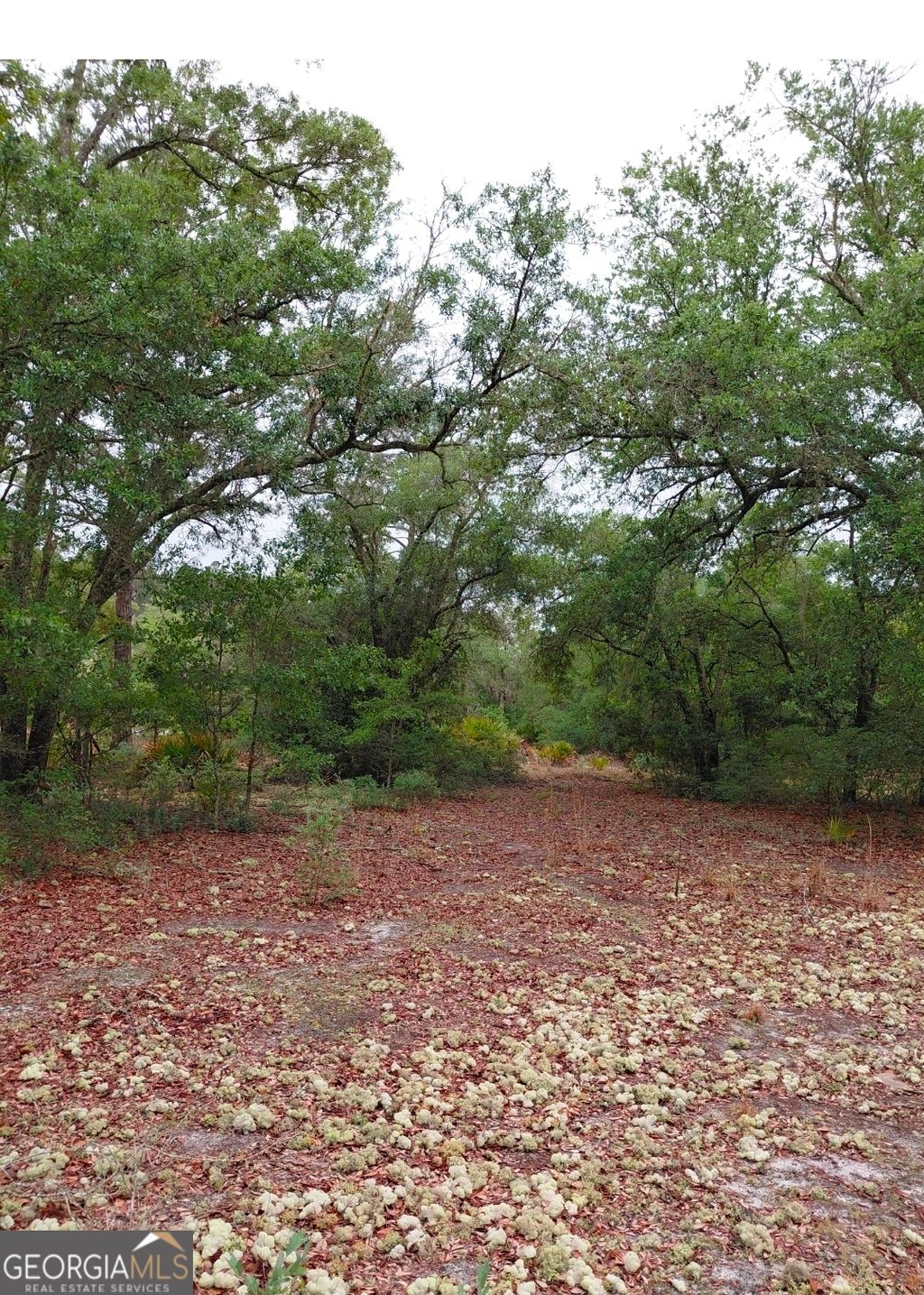 Photo of 779 Ralph Davis Road, Folkston, GA 31537 (MLS # 10756137)
