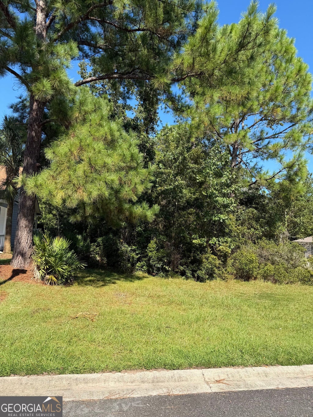 Photo of 497 Holm Place, Saint Marys, GA 31558 (MLS # 10872827)