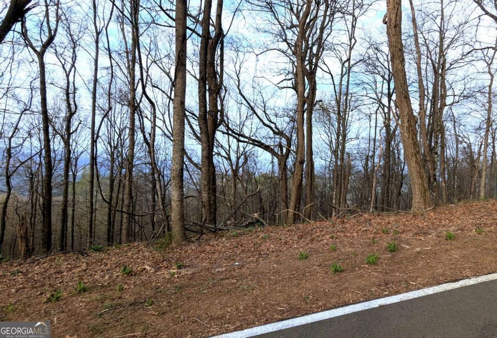 Photo of 7188 Ridgeview Drive, Big Canoe, GA 30143 (MLS # 10737516)