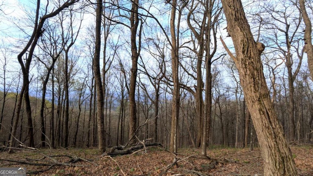 Photo of 7188 Ridgeview Drive, Big Canoe, GA 30143 (MLS # 10737516)