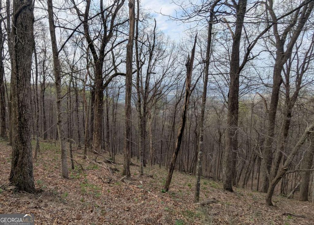 Photo of 7188 Ridgeview Drive, Big Canoe, GA 30143 (MLS # 10737516)