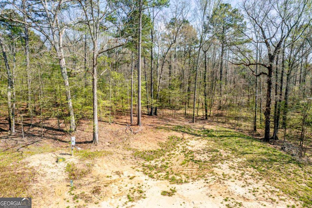 Photo of 357 Old Copelan Road, Eatonton, GA 31024 (MLS # 10721700)