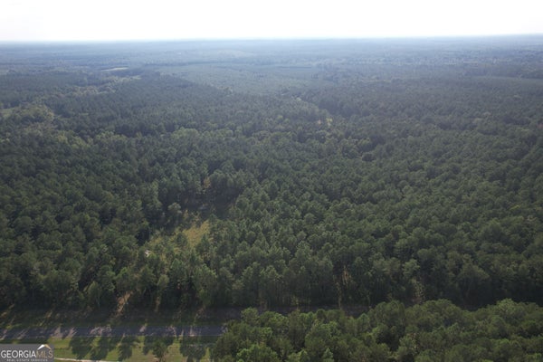 REGINA DR, DUBLIN, GA 31021 - Image ef2ec13590939617cb12ec03bdebbea1/416401351