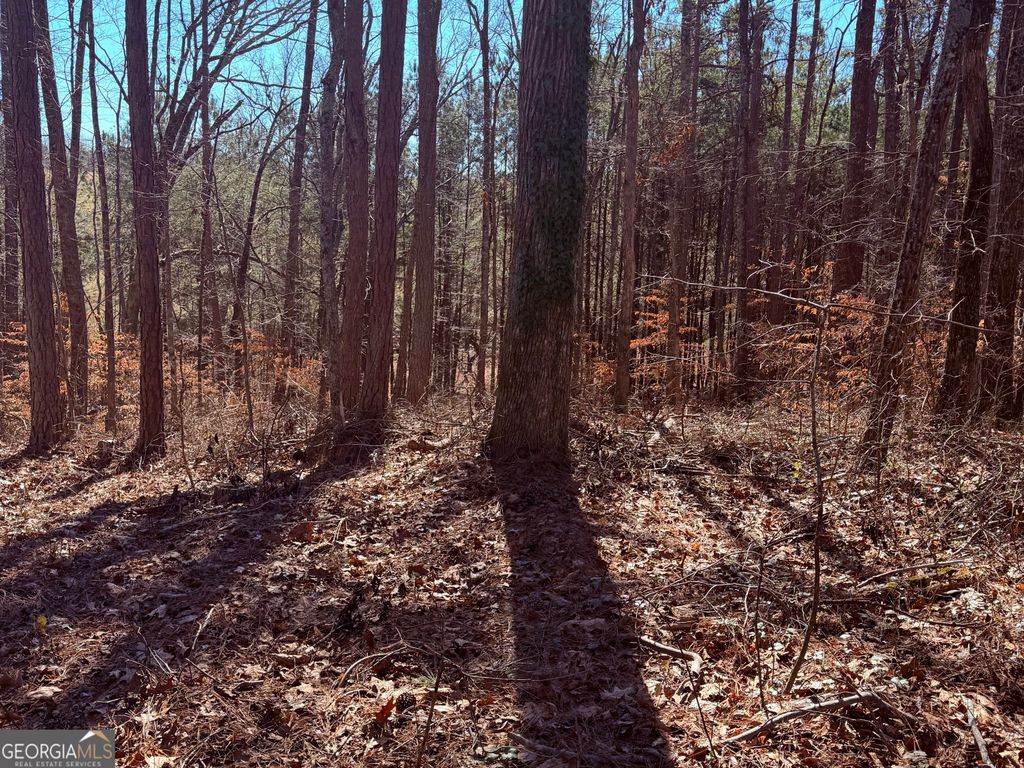 Photo of 2487 S Carroll Court, Villa Rica, GA 30180 (MLS # 10687536)