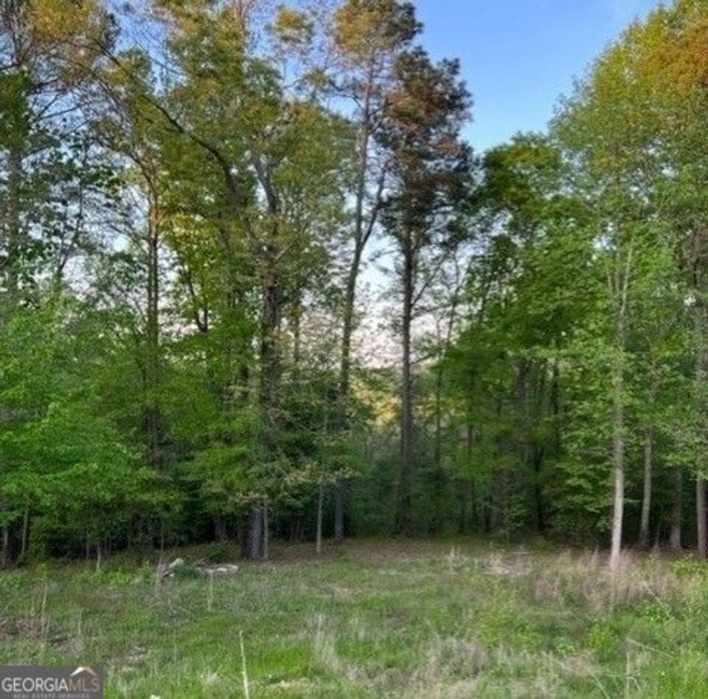 Photo of 1628 Alcovy Ridge Xing, Loganville, GA 30052 (MLS # 10766798)