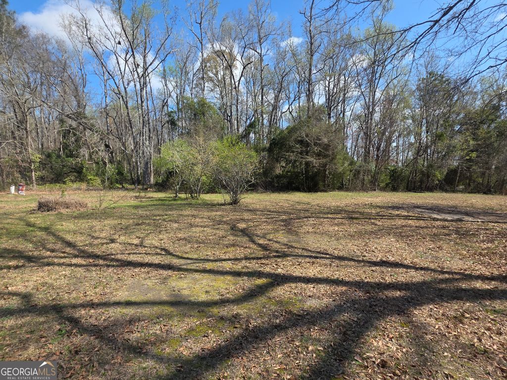 Photo of 3576 Headstall Lane, Dearing, GA 30808 (MLS # 10707768)
