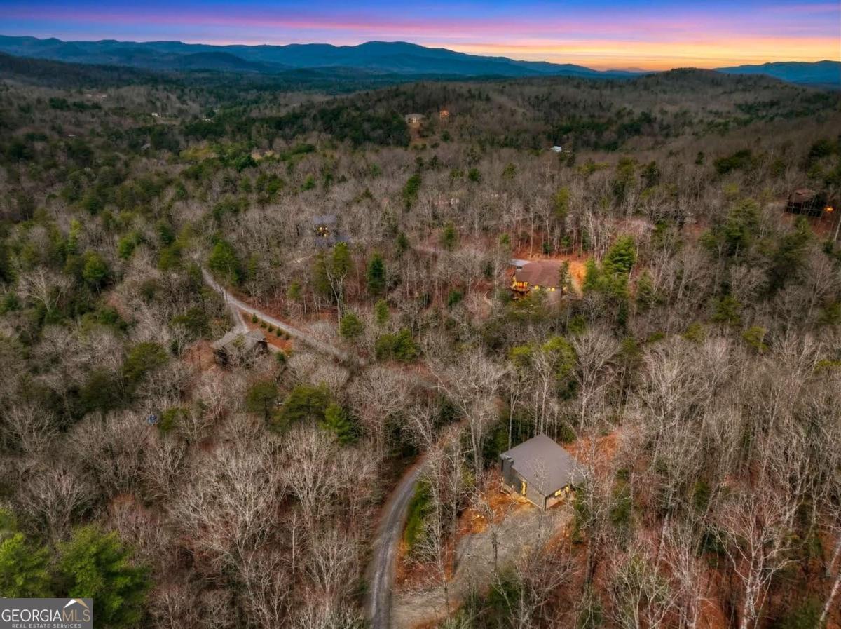 171 Cohutta Overlook LN