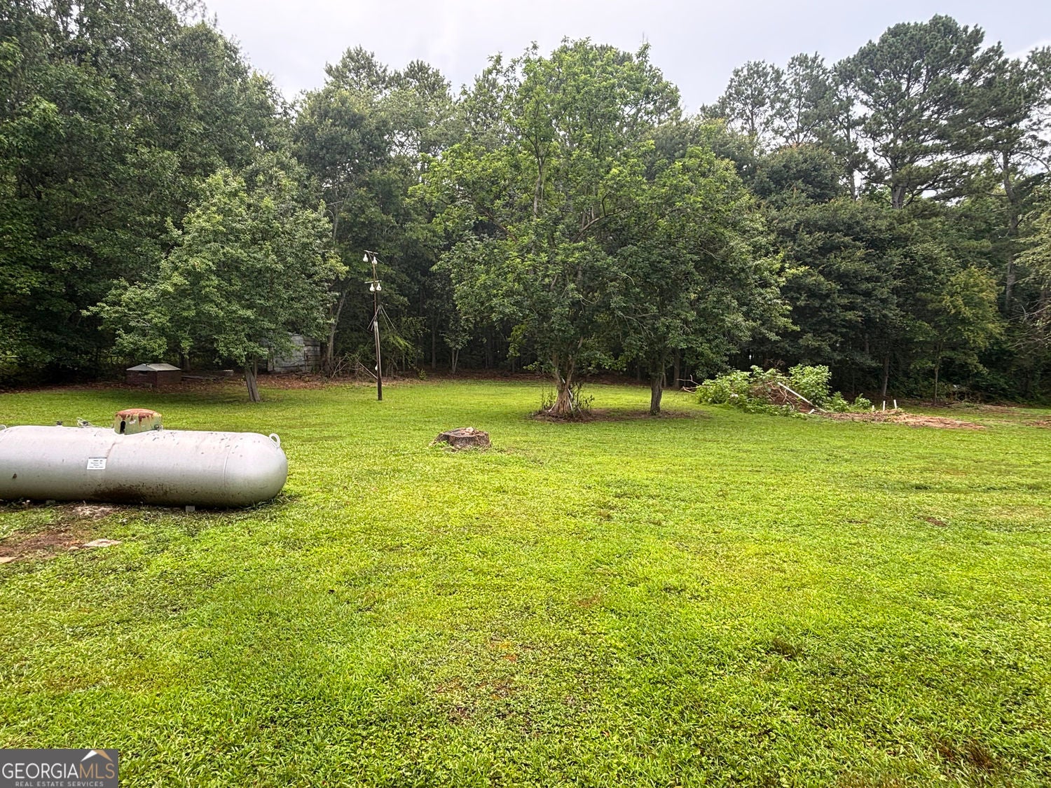115 Pineview LN