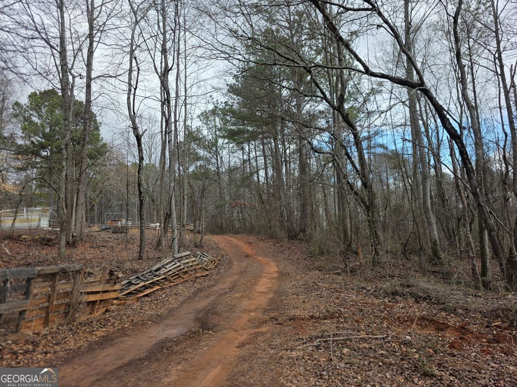 Photo of 1684 Mandeville Road, Bremen, GA 30110 (MLS # 10685391)