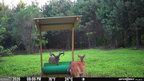 Photo for 17 ACRES Carlisle Gap Rd