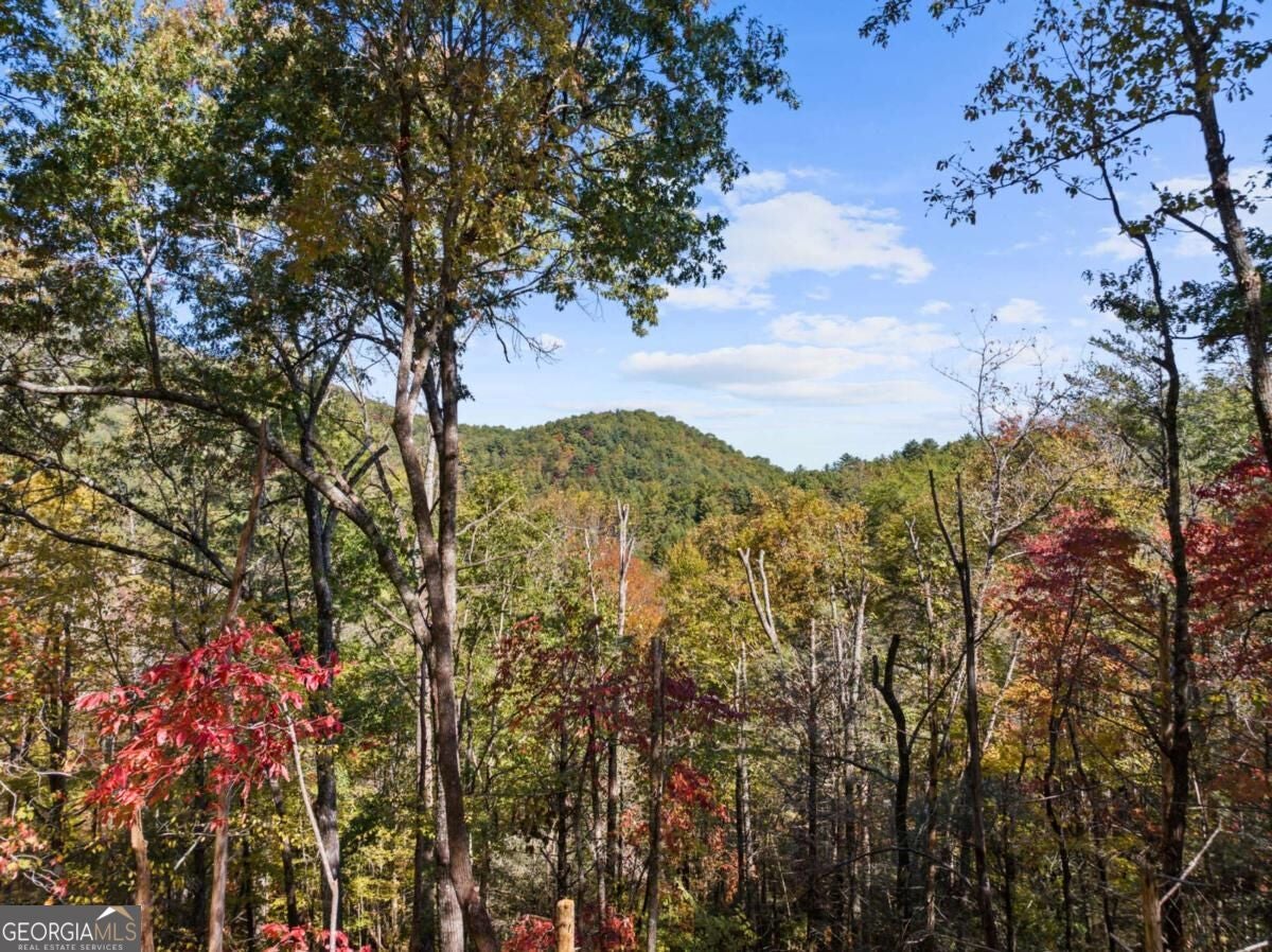 LOT 8 Butler Creek RD