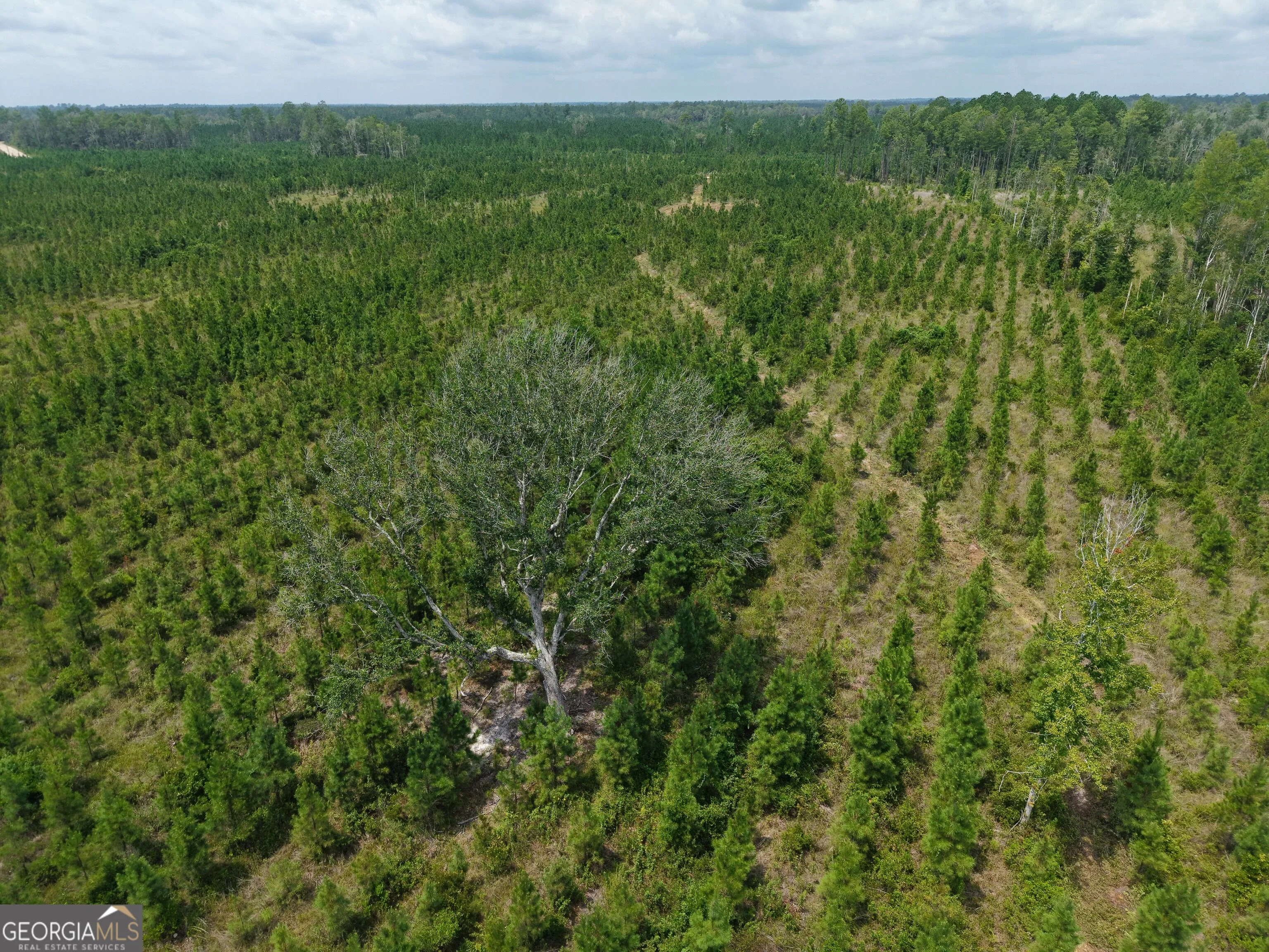 TRACT 5 Owens Ferry Rd Rd, White Oak, GA, 31568
