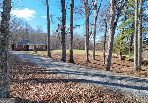 Photo of 16894 Morganton Highway, Morganton, GA 30560 (MLS # 10677382)