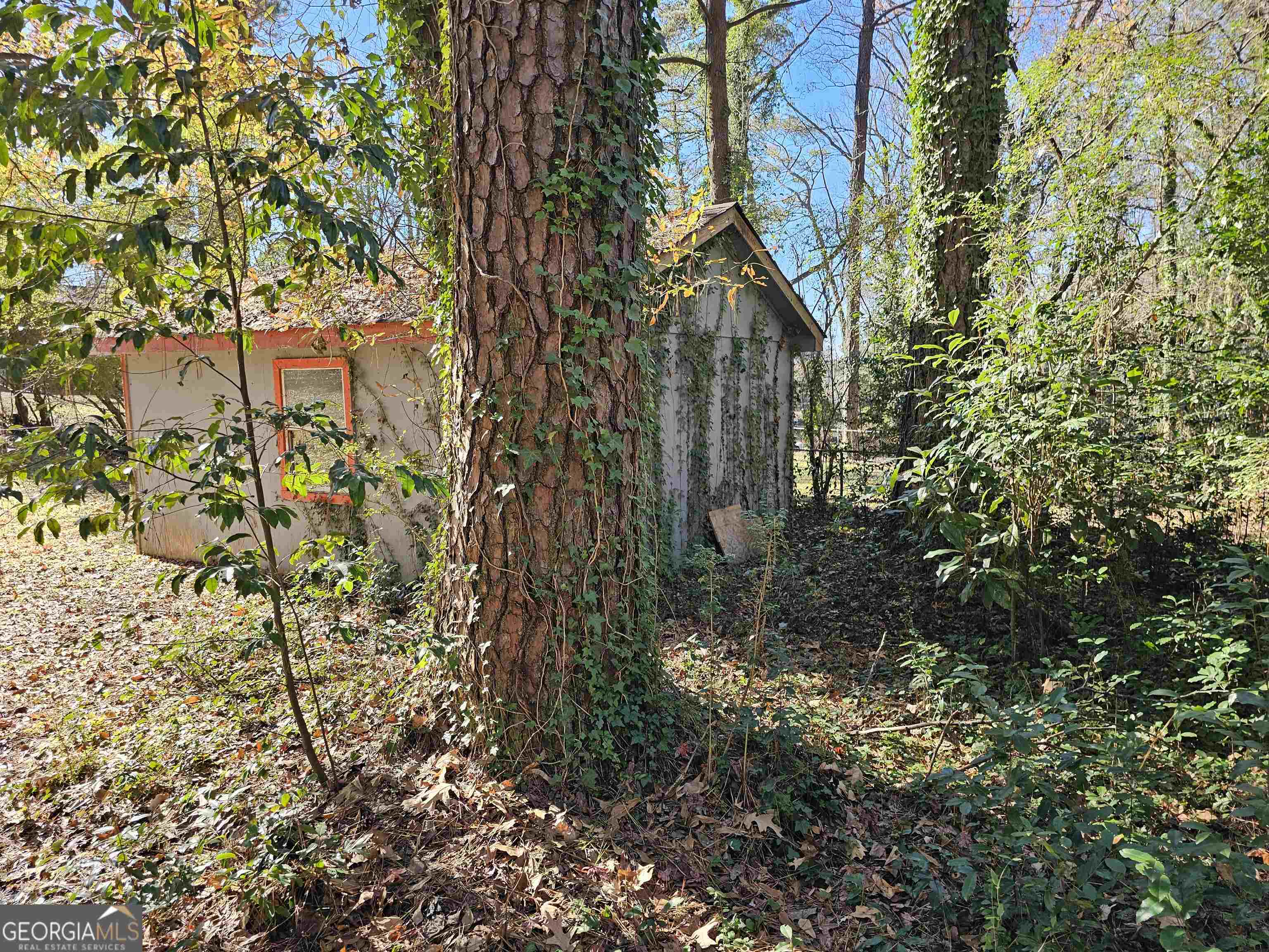 Pine Forest Estates - Residential