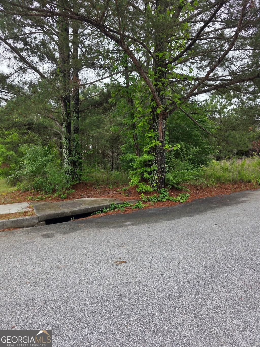 Photo of 6372 SW Flat Rock Land SW, Atlanta, GA 30349 (MLS # 10767210)