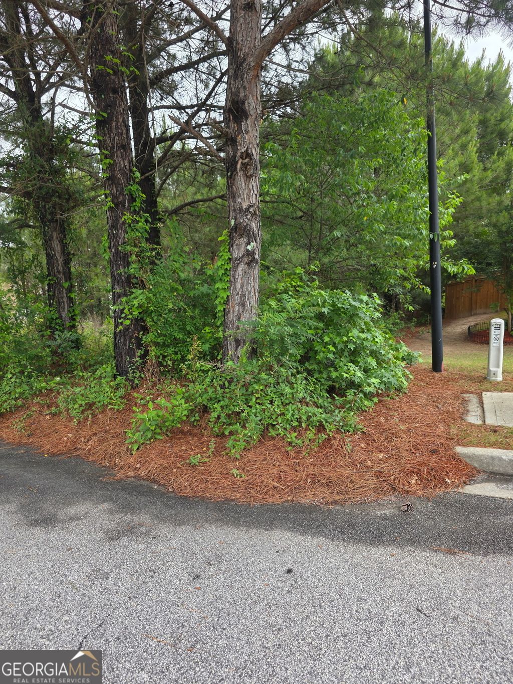 Photo of 6372 SW Flat Rock Land SW, Atlanta, GA 30349 (MLS # 10767210)